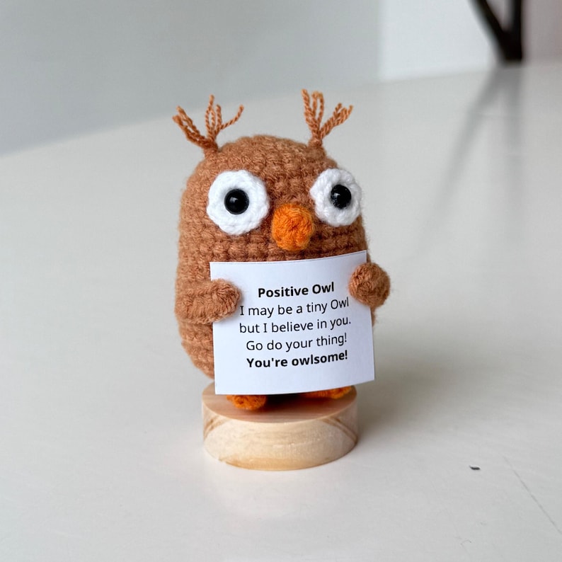 Handmade Positive Owl, Inspirational Owl Crochet, Funny Best Friend Teacher, Coworker Gifts For Him Her, Animal Supportive Gifts