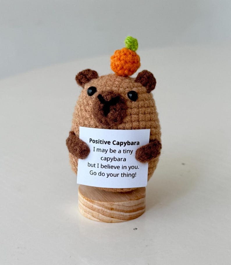 Handmade Positive Capybara, Supportive Capybara Crochet, Funny Best Friend Teacher, Coworker, Gifts For Her, Animal Supportive Gifts