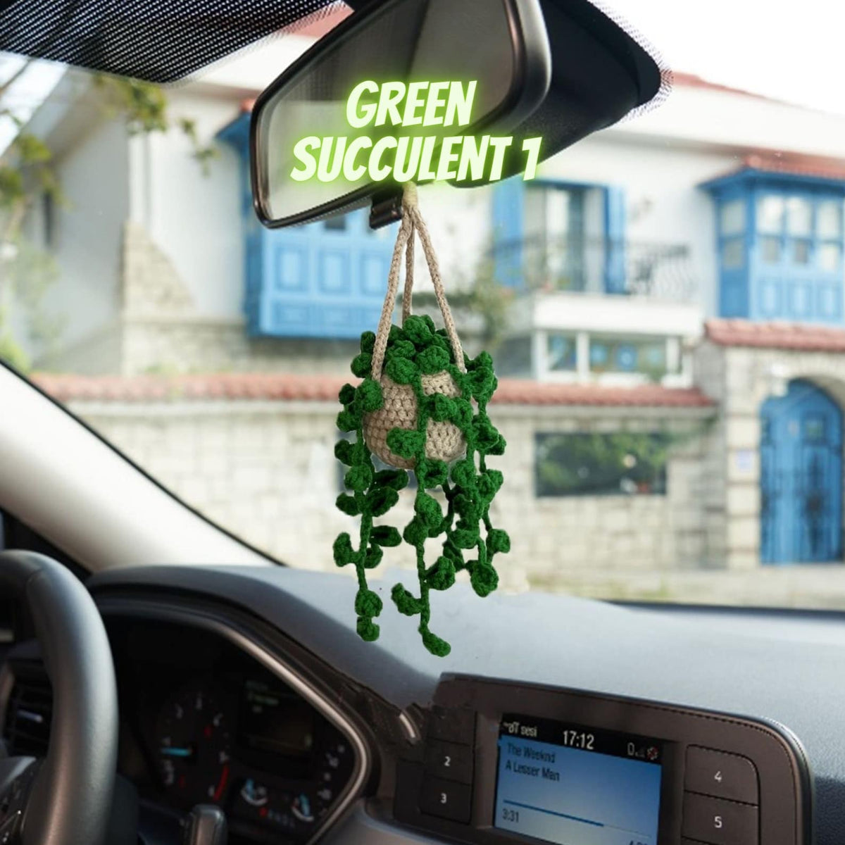 Personalized Crochet Plant Car Hanging:Car Decor