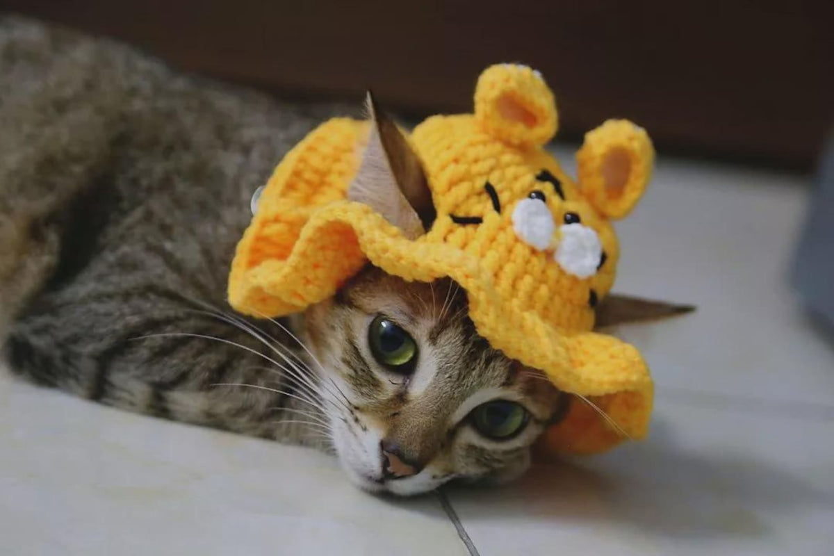 Handmade Cat Knit Hat, Pet Knit Scarf, Crochet Dog Hat, Cute Pet Accessories, Knitted Halloween Pet Outfit, Cat Lover Gifts, Dog Lover Gifts