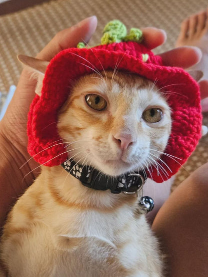 Handmade Cat Knit Hat, Pet Knit Scarf, Crochet Dog Hat, Cute Pet Accessories, Knitted Halloween Pet Outfit, Cat Lover Gifts, Dog Lover Gifts