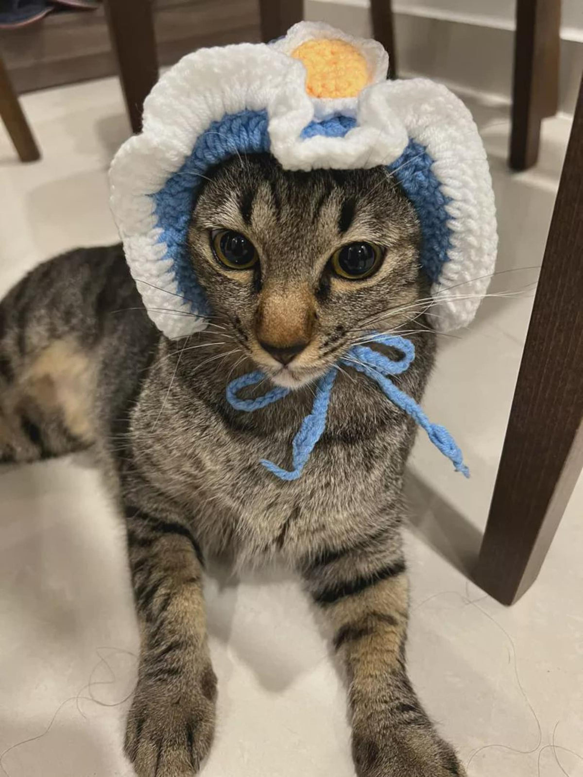 Handmade Cat Knit Hat, Pet Knit Scarf, Crochet Dog Hat, Cute Pet Accessories, Knitted Halloween Pet Outfit, Cat Lover Gifts, Dog Lover Gifts