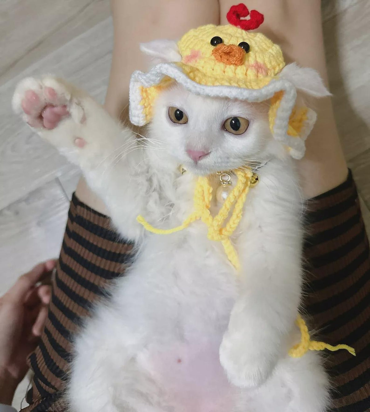 Handmade Cat Knit Hat, Pet Knit Scarf, Crochet Dog Hat, Cute Pet Accessories, Knitted Halloween Pet Outfit, Cat Lover Gifts, Dog Lover Gifts