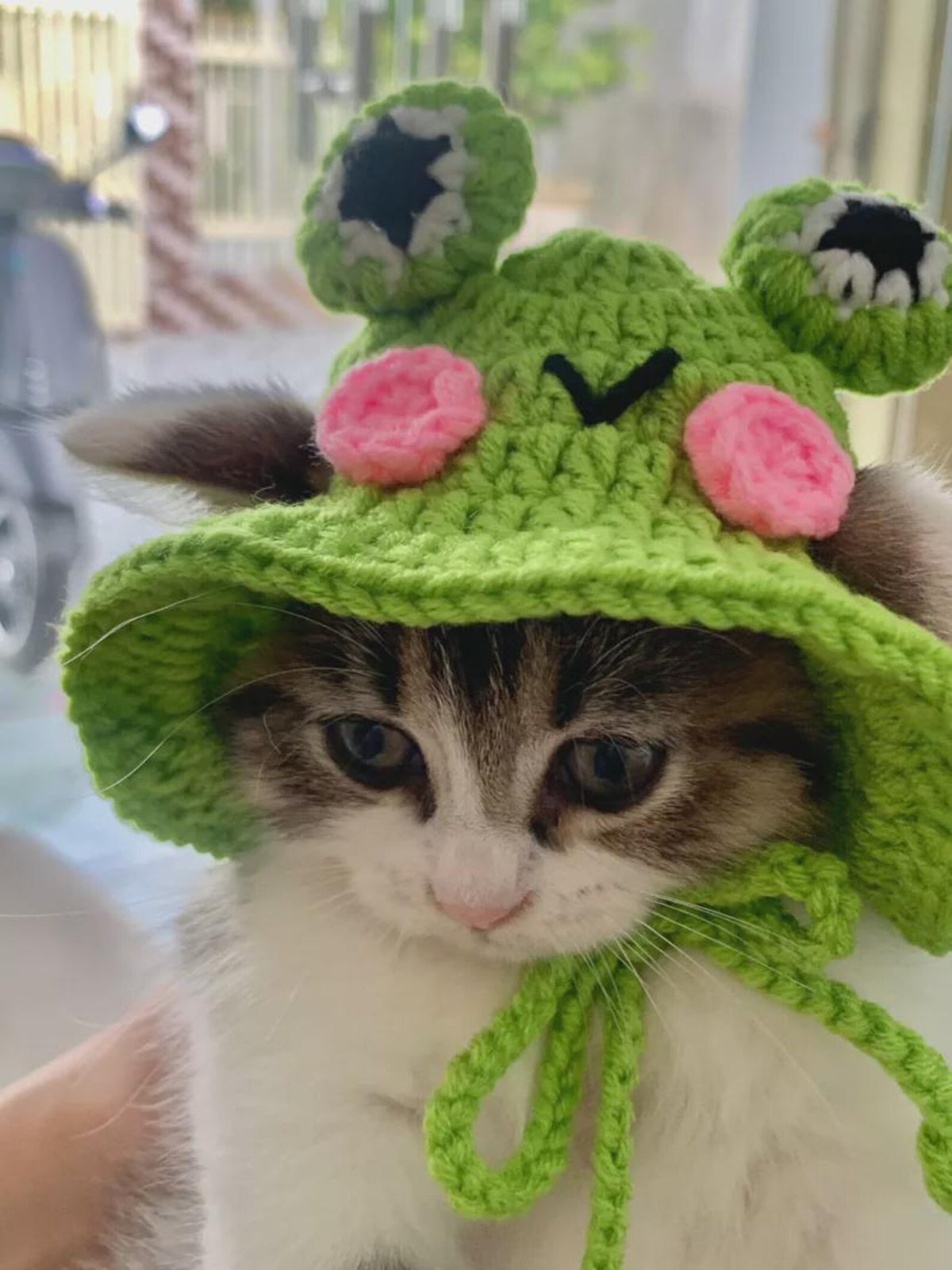 Handmade Cat Knit Frog Hat, Pet Knit Scarf, Crochet Dog Hat, Cute Pet Accessories, Knitted Frog Pet Outfit, Cat Lover Gifts, Dog Lover Gifts