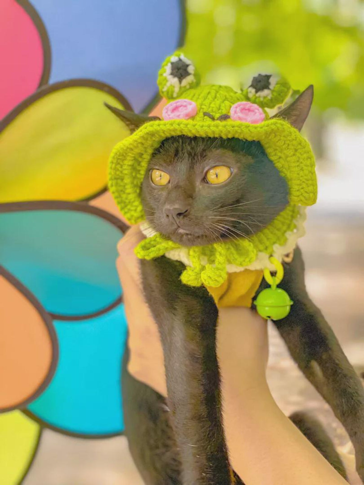Handmade Cat Knit Frog Hat, Pet Knit Scarf, Crochet Dog Hat, Cute Pet Accessories, Knitted Frog Pet Outfit, Cat Lover Gifts, Dog Lover Gifts