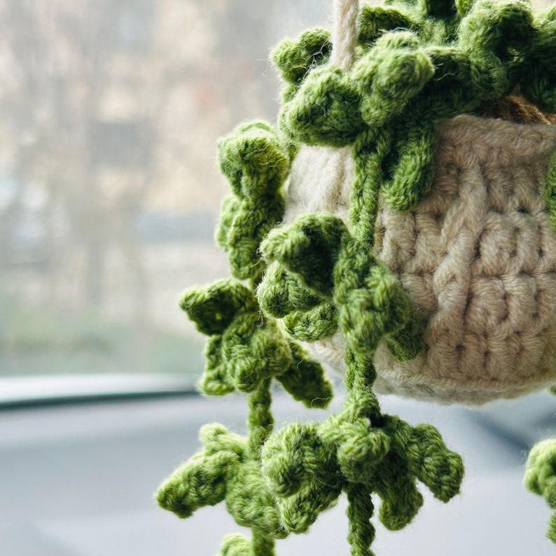 Cute Car Mirror Hanging bracketplant chlorophytum comosum Purple pink Interior Rear View Mirror Flower Car Accessories Crochet gift for car