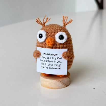 Handmade Positive Owl, Inspirational Owl Crochet, Funny Best Friend Teacher, Coworker Gifts For Him Her, Animal Supportive Gifts