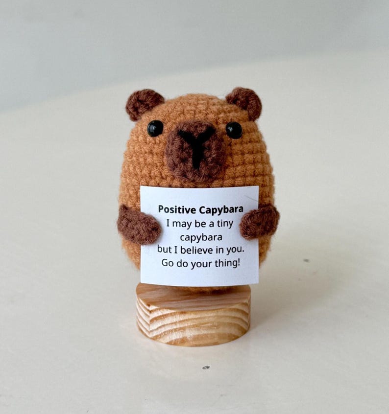Handmade Positive Capybara, Supportive Capybara Crochet, Funny Best Friend Teacher, Coworker, Gifts For Her, Animal Supportive Gifts