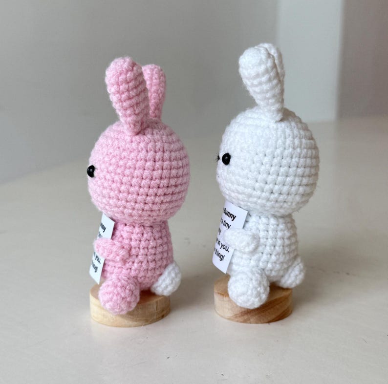 Crochet Bunny Positive With Desk Decorations, Supportive Bunny Plushie, Birthday Gift, Gifts For Children Family Friend Coworkers
