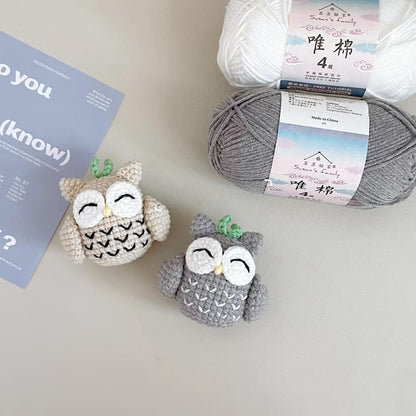 Crochet Owl Amigurumi, Handmade Owl Plush, Cute Owl Decor, Mini Crochet Animal, Woodland Nursery Gift, Owl Lover Present, Crochet Bird