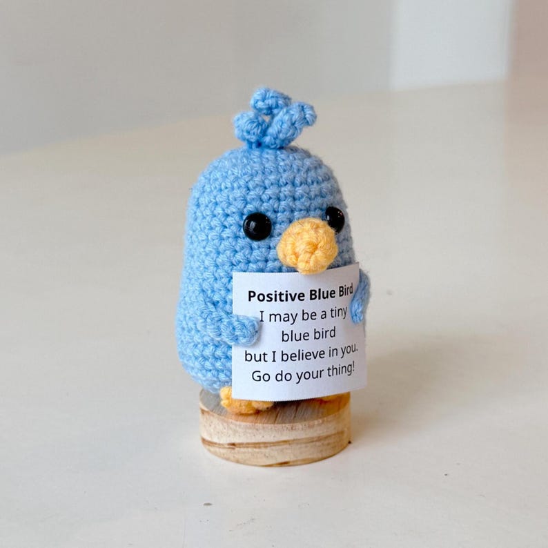 Handmade Positive Crochet Blue Bird, Inspirational Blue Bird, Funny Best Friend Teacher, Coworker Gifts For Him Her, Animal Supportive Gifts