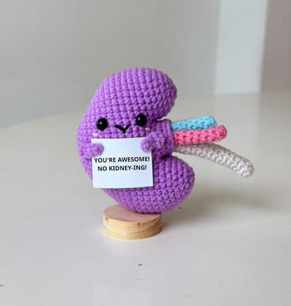 Crochet Kidney Plush With Positive Message, Handmade Organs Guts, Gifts For Family Friend Coworker, Interesting Gifts For Nurse Doctor