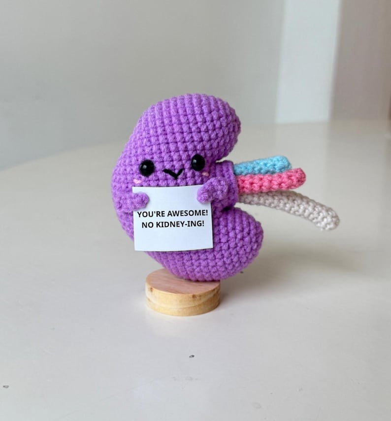 Crochet Kidney Plush With Positive Message, Handmade Organs Guts, Gifts For Family Friend Coworker, Interesting Gifts For Nurse Doctor