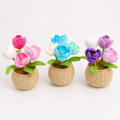 Handmade Crochet Tulip Flower Pot, Cute Gift for Her, Girlfriend, Friend, Colleague, Desk Decor, Housewarming Gift