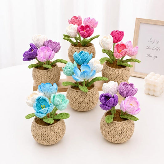 Handmade Crochet Tulip Flower Pot, Cute Gift for Her, Girlfriend, Friend, Colleague, Desk Decor, Housewarming Gift